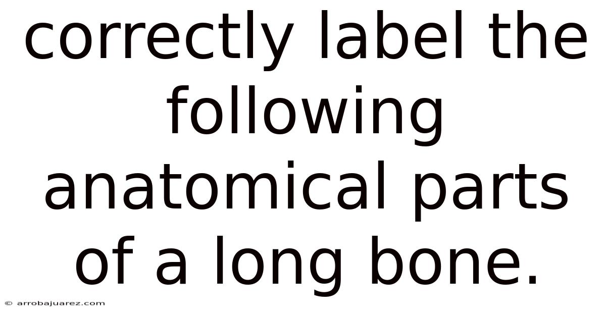 Correctly Label The Following Anatomical Parts Of A Long Bone.