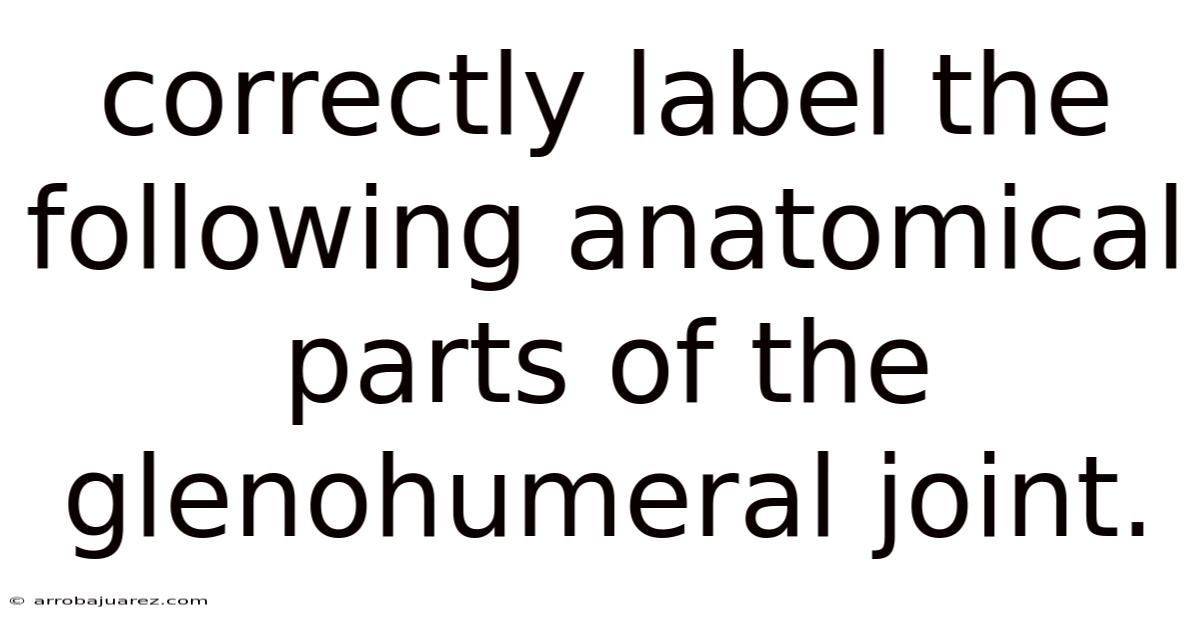 Correctly Label The Following Anatomical Parts Of The Glenohumeral Joint.