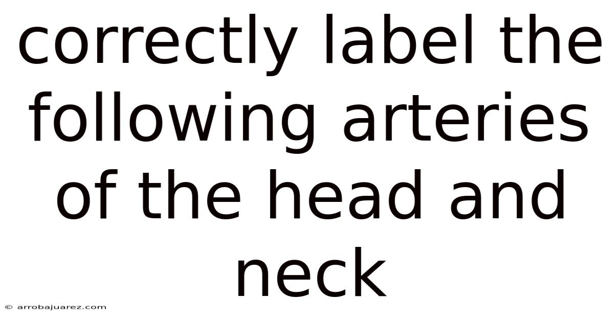 Correctly Label The Following Arteries Of The Head And Neck