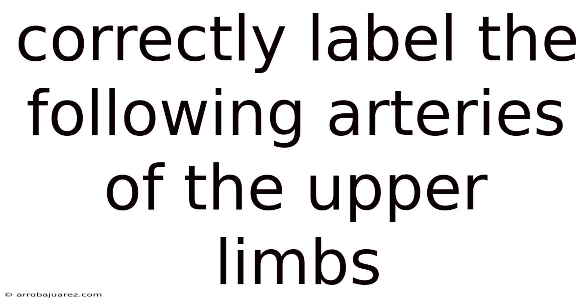 Correctly Label The Following Arteries Of The Upper Limbs