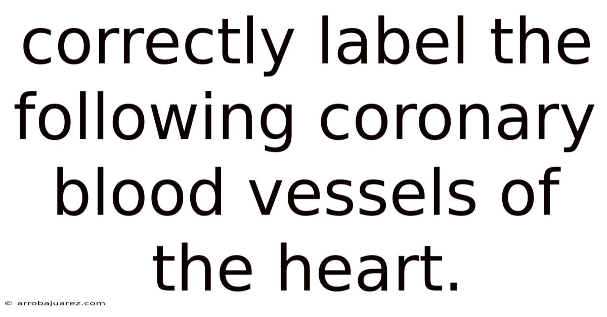 Correctly Label The Following Coronary Blood Vessels Of The Heart.
