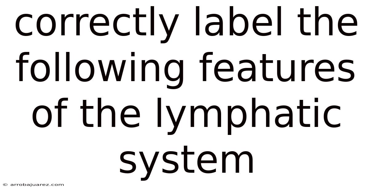 Correctly Label The Following Features Of The Lymphatic System