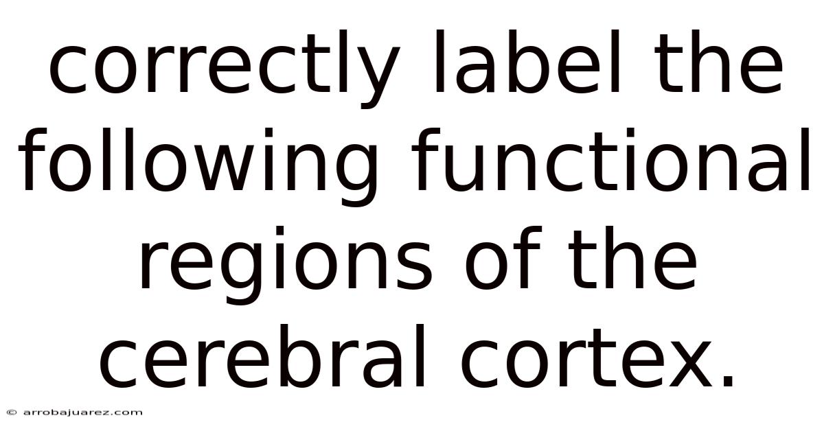 Correctly Label The Following Functional Regions Of The Cerebral Cortex.