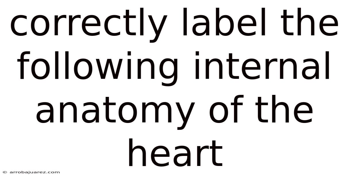 Correctly Label The Following Internal Anatomy Of The Heart