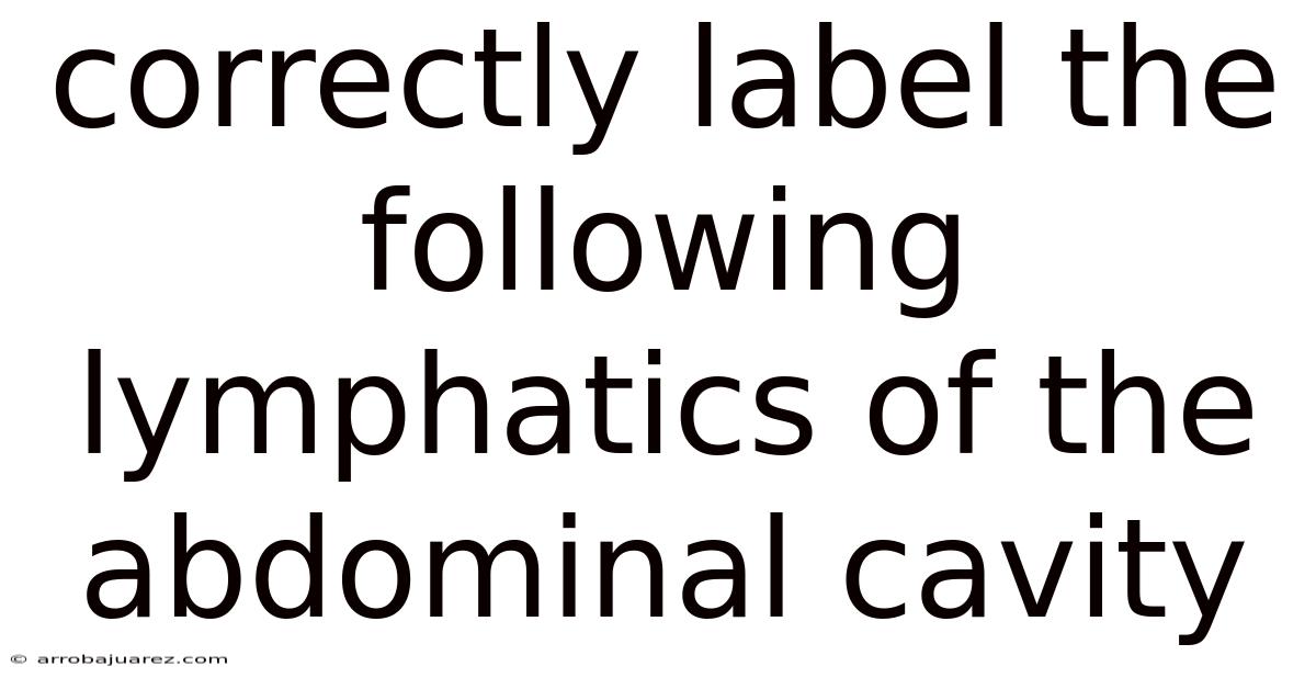 Correctly Label The Following Lymphatics Of The Abdominal Cavity