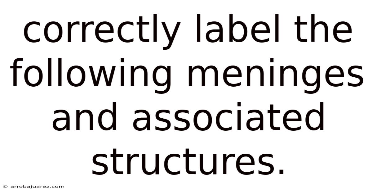Correctly Label The Following Meninges And Associated Structures.