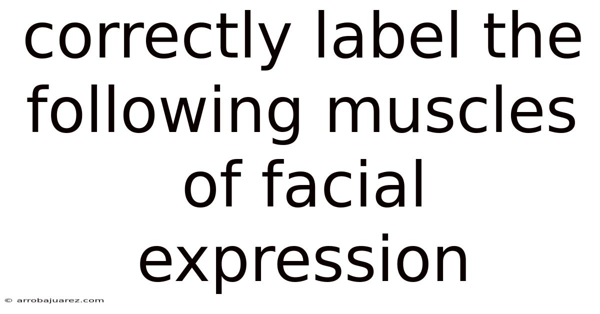 Correctly Label The Following Muscles Of Facial Expression