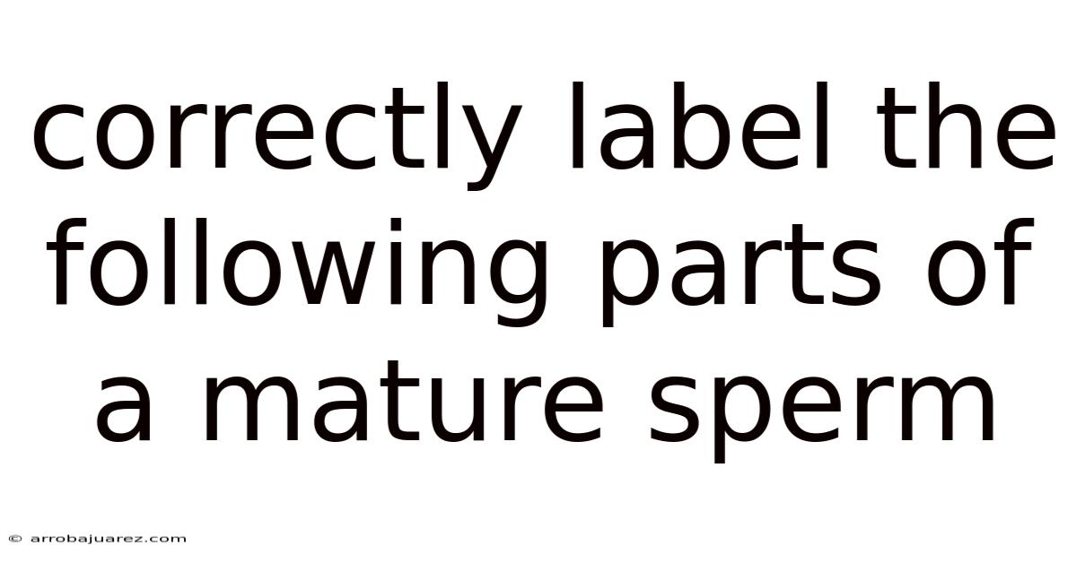 Correctly Label The Following Parts Of A Mature Sperm