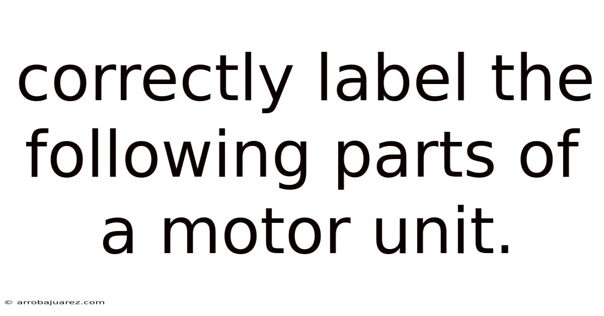 Correctly Label The Following Parts Of A Motor Unit.