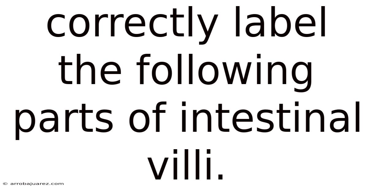 Correctly Label The Following Parts Of Intestinal Villi.