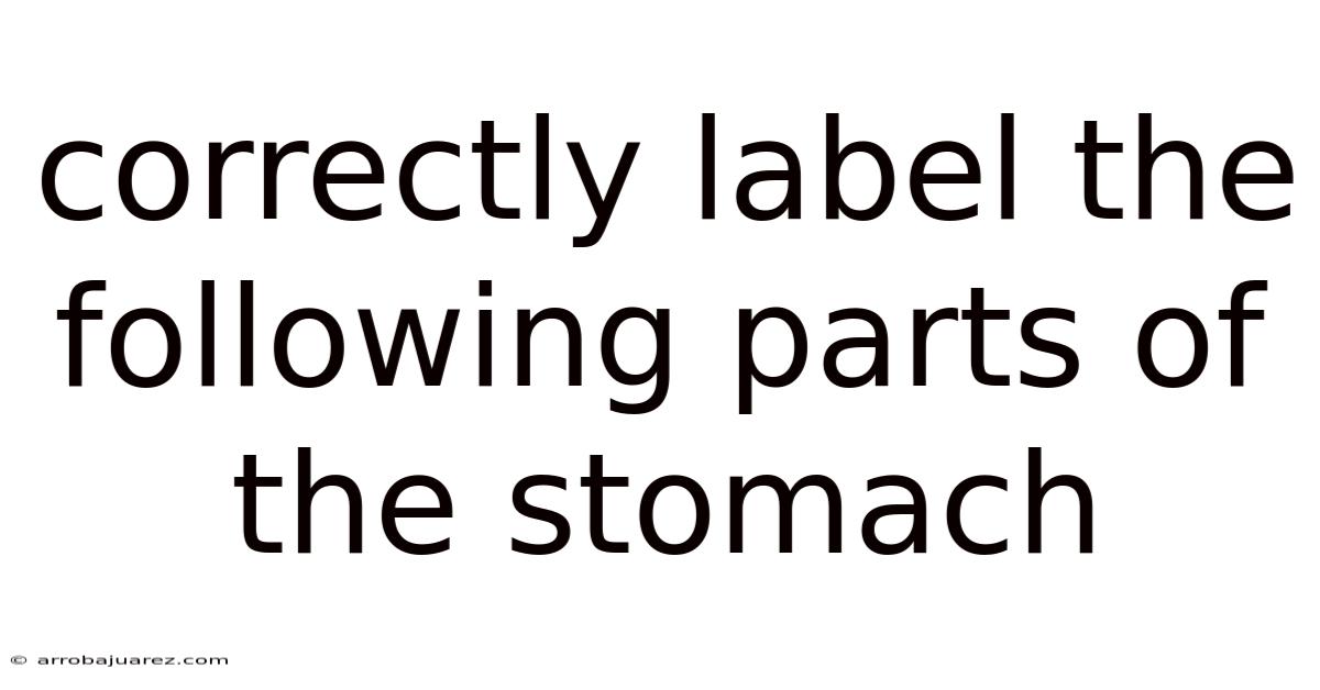 Correctly Label The Following Parts Of The Stomach