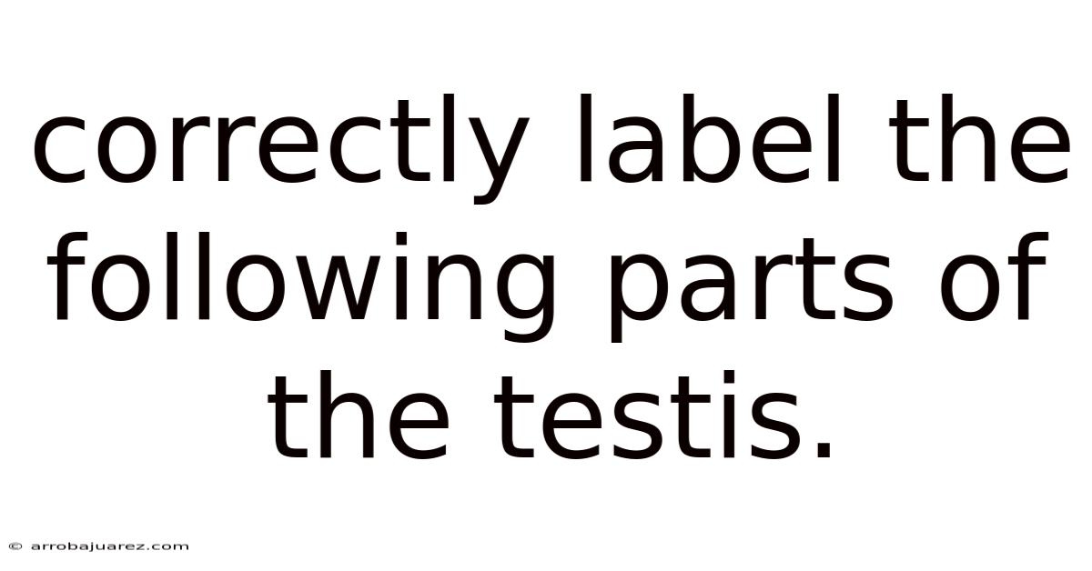 Correctly Label The Following Parts Of The Testis.