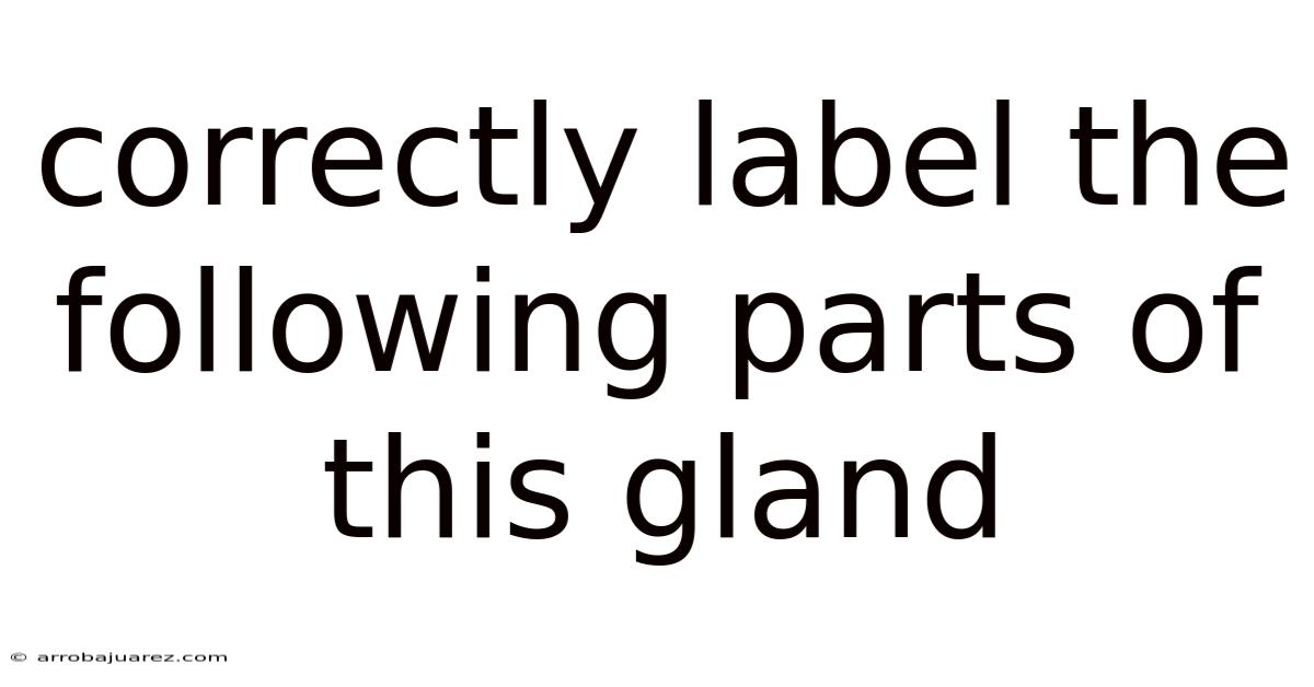 Correctly Label The Following Parts Of This Gland