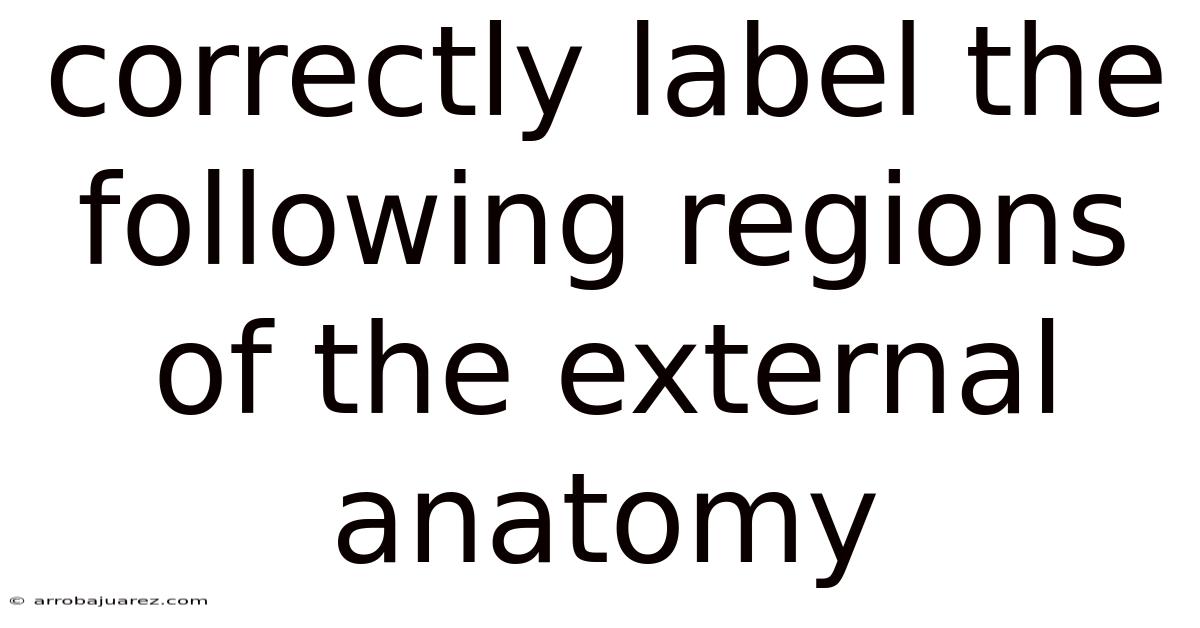 Correctly Label The Following Regions Of The External Anatomy