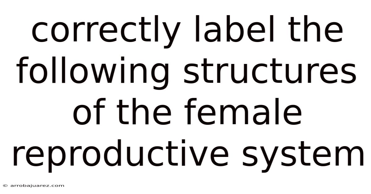 Correctly Label The Following Structures Of The Female Reproductive System