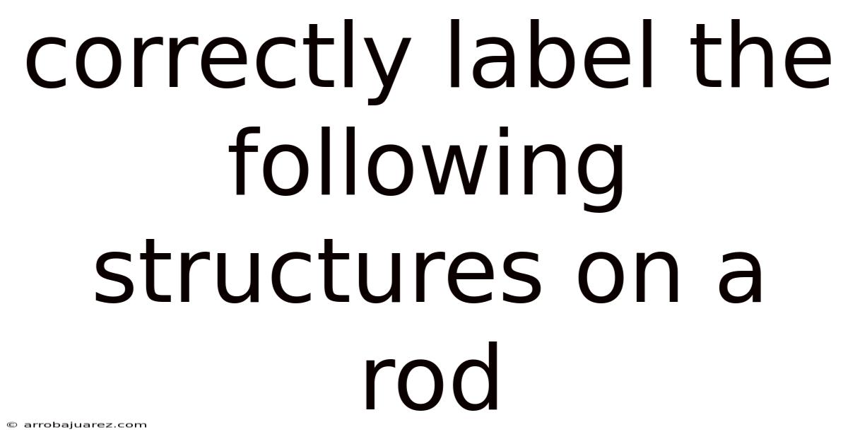 Correctly Label The Following Structures On A Rod