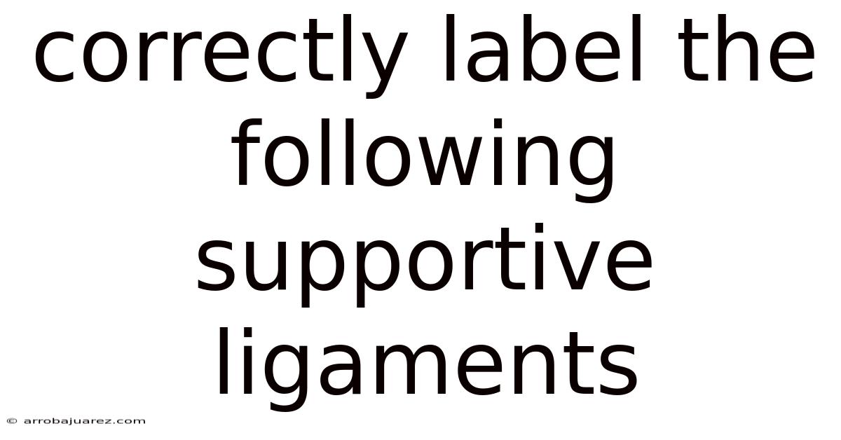 Correctly Label The Following Supportive Ligaments