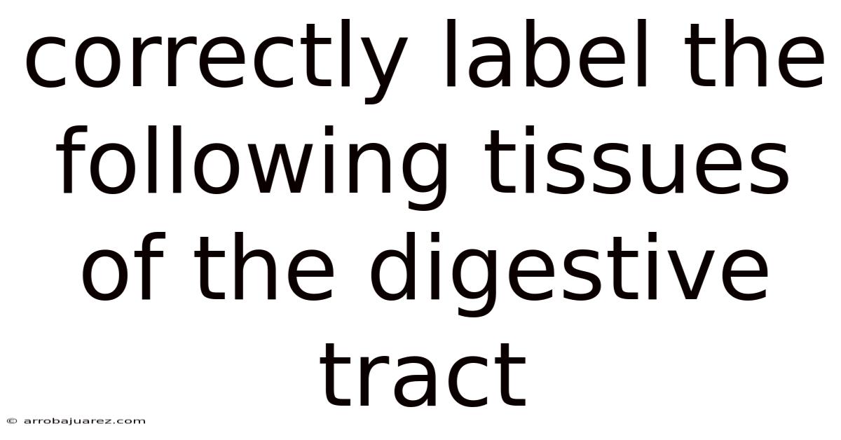 Correctly Label The Following Tissues Of The Digestive Tract