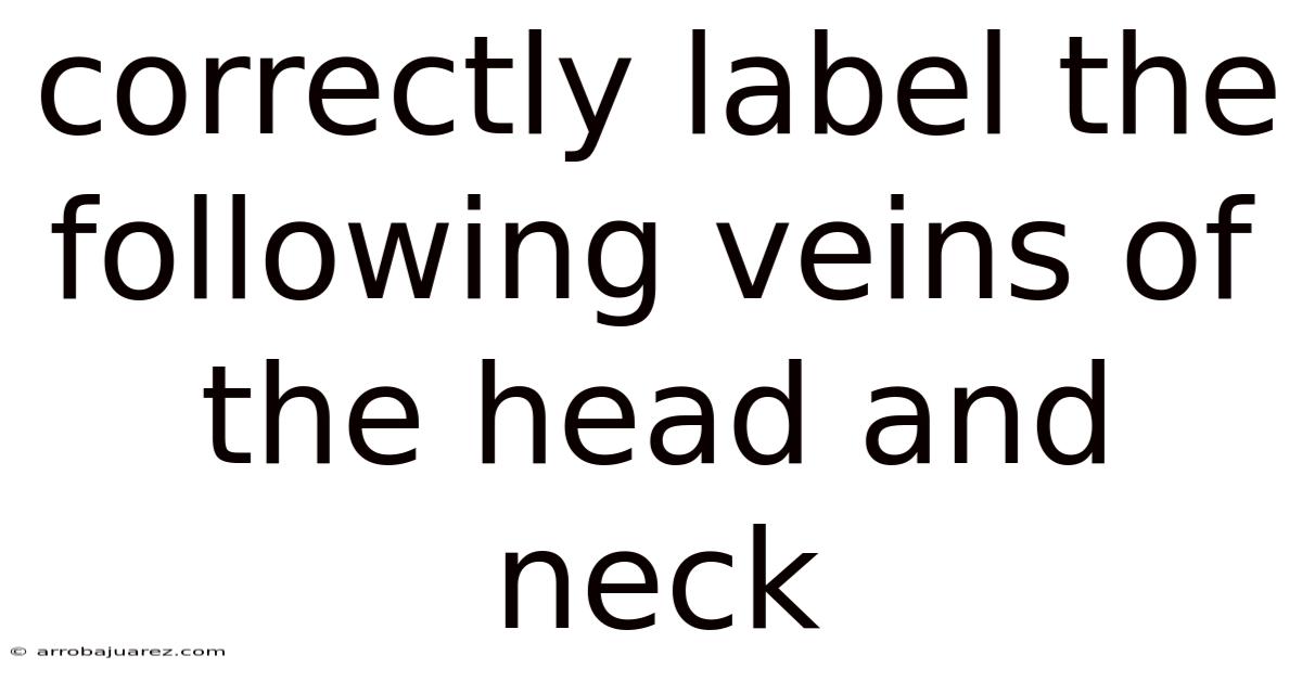 Correctly Label The Following Veins Of The Head And Neck