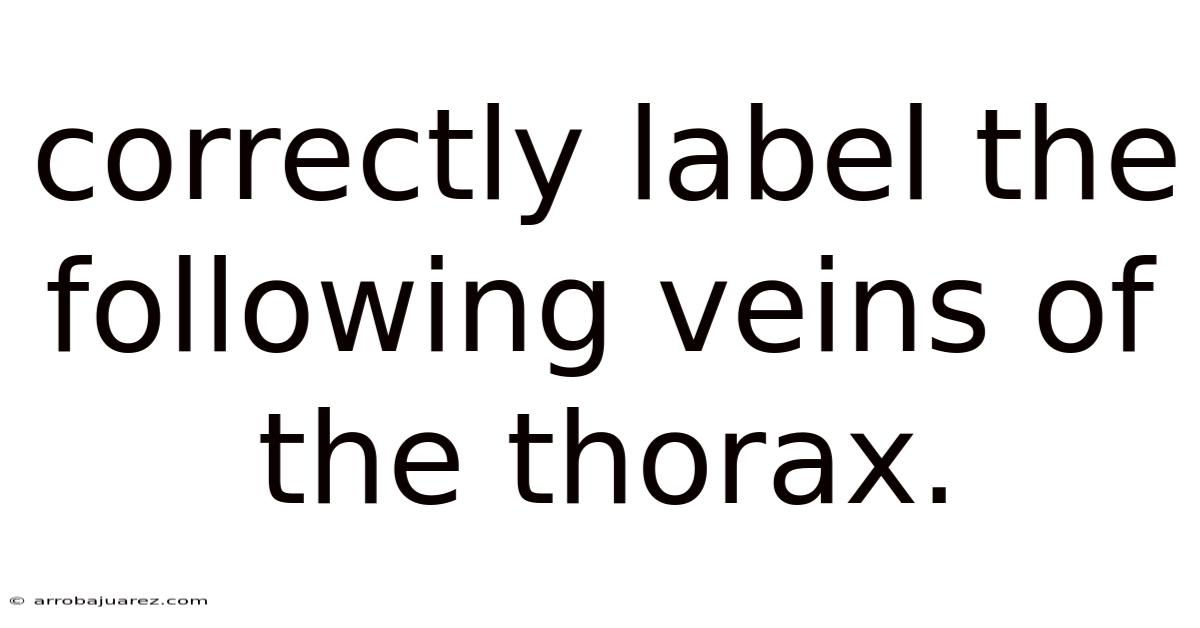 Correctly Label The Following Veins Of The Thorax.