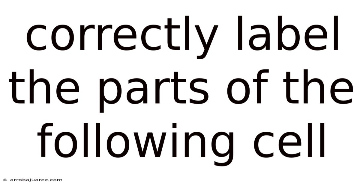 Correctly Label The Parts Of The Following Cell