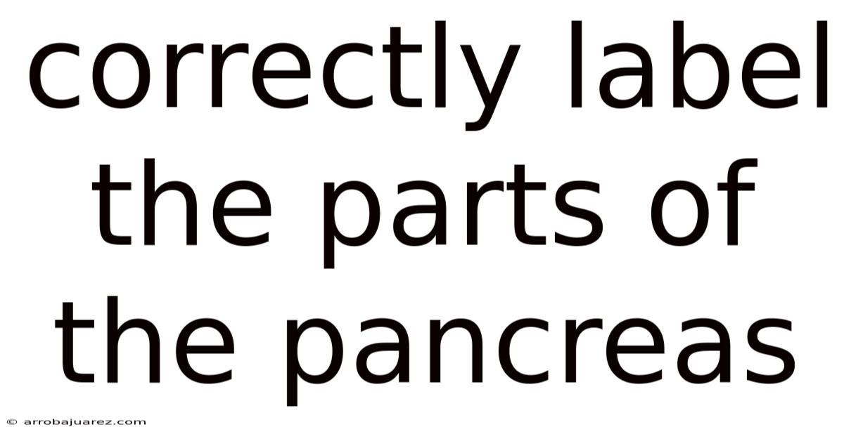 Correctly Label The Parts Of The Pancreas