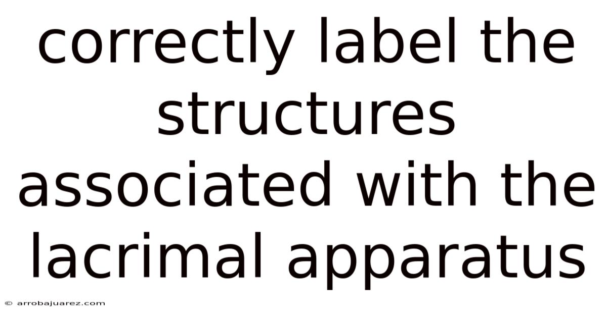 Correctly Label The Structures Associated With The Lacrimal Apparatus
