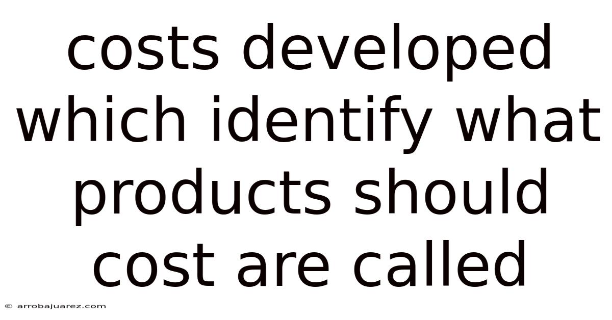 Costs Developed Which Identify What Products Should Cost Are Called