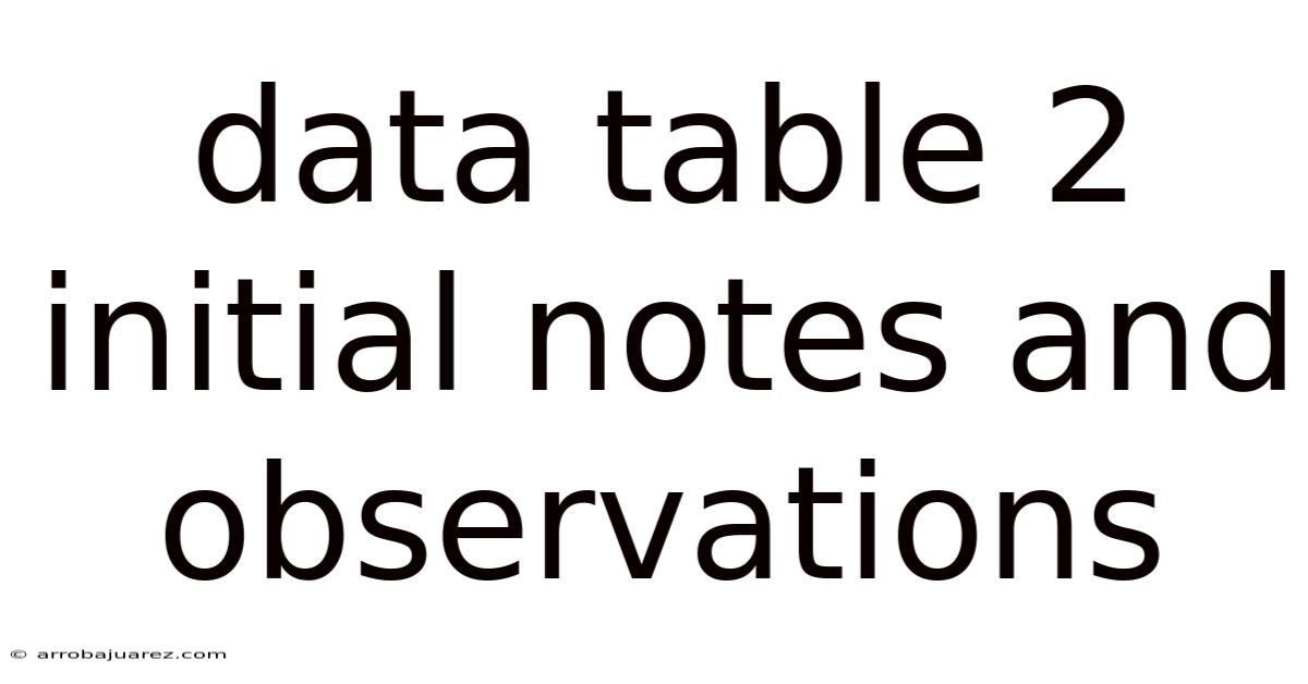Data Table 2 Initial Notes And Observations