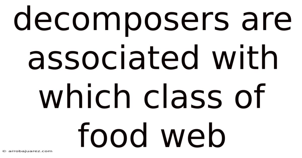 Decomposers Are Associated With Which Class Of Food Web