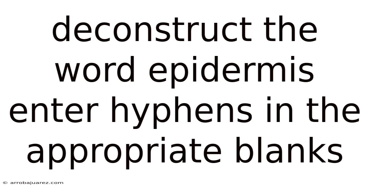 Deconstruct The Word Epidermis Enter Hyphens In The Appropriate Blanks