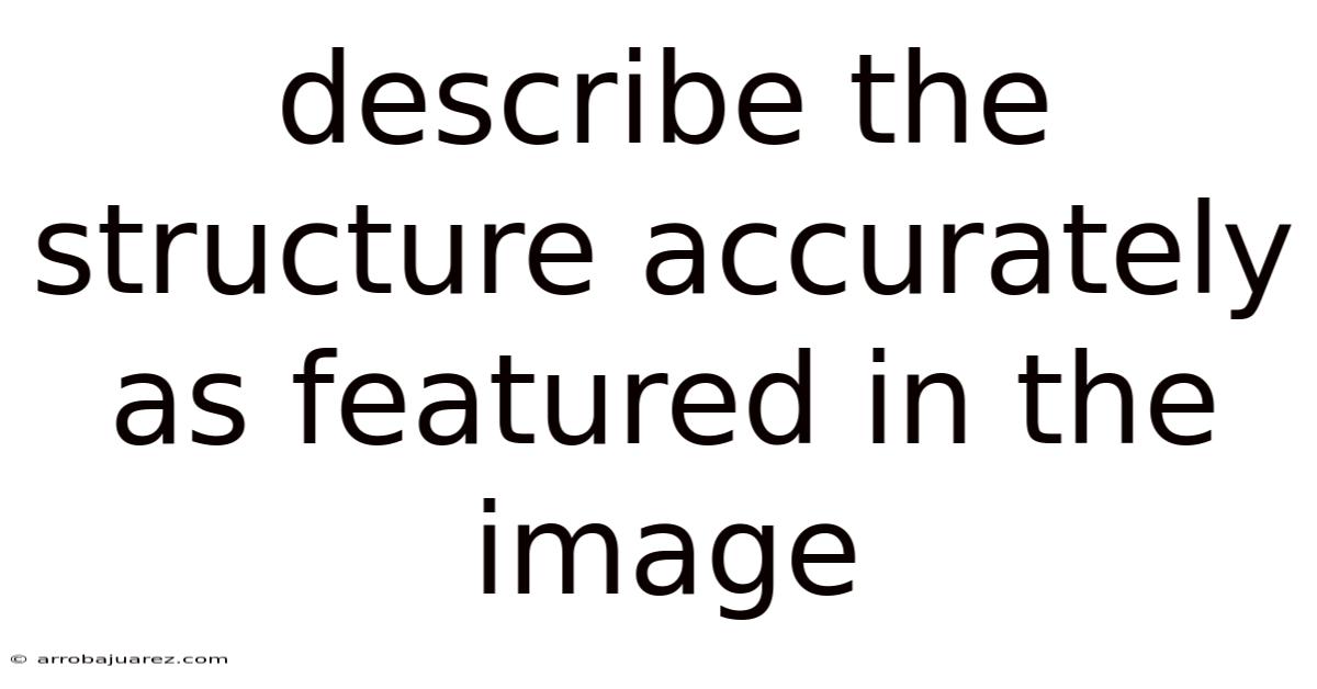 Describe The Structure Accurately As Featured In The Image