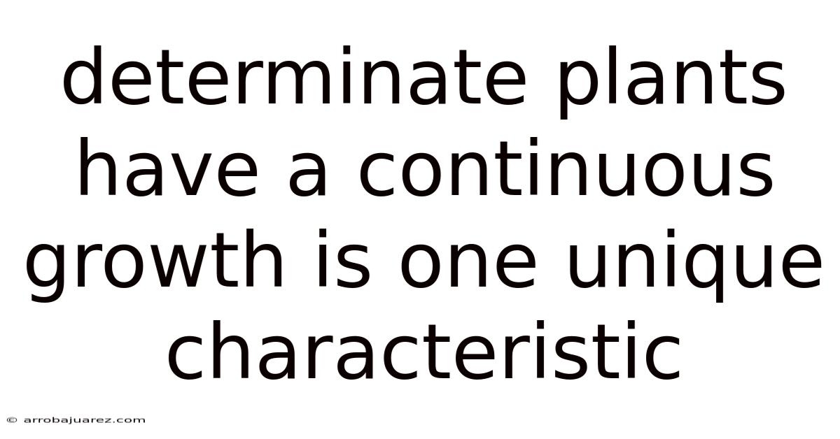 Determinate Plants Have A Continuous Growth Is One Unique Characteristic