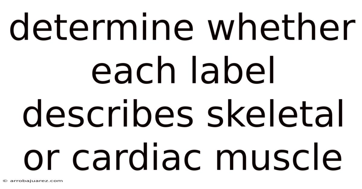 Determine Whether Each Label Describes Skeletal Or Cardiac Muscle