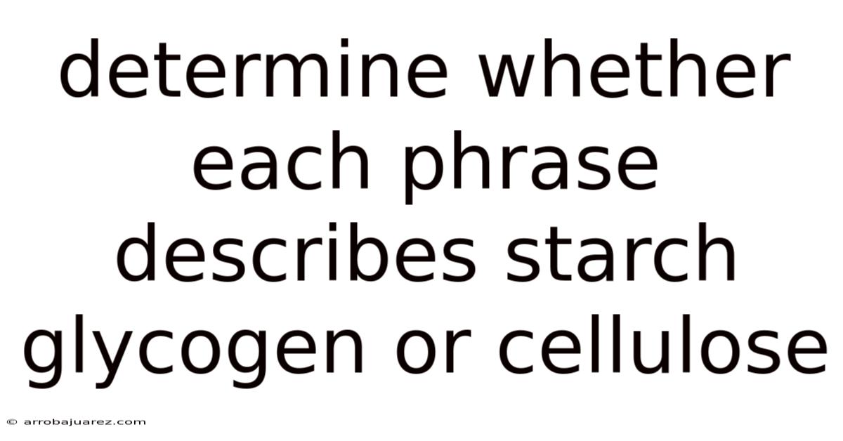 Determine Whether Each Phrase Describes Starch Glycogen Or Cellulose