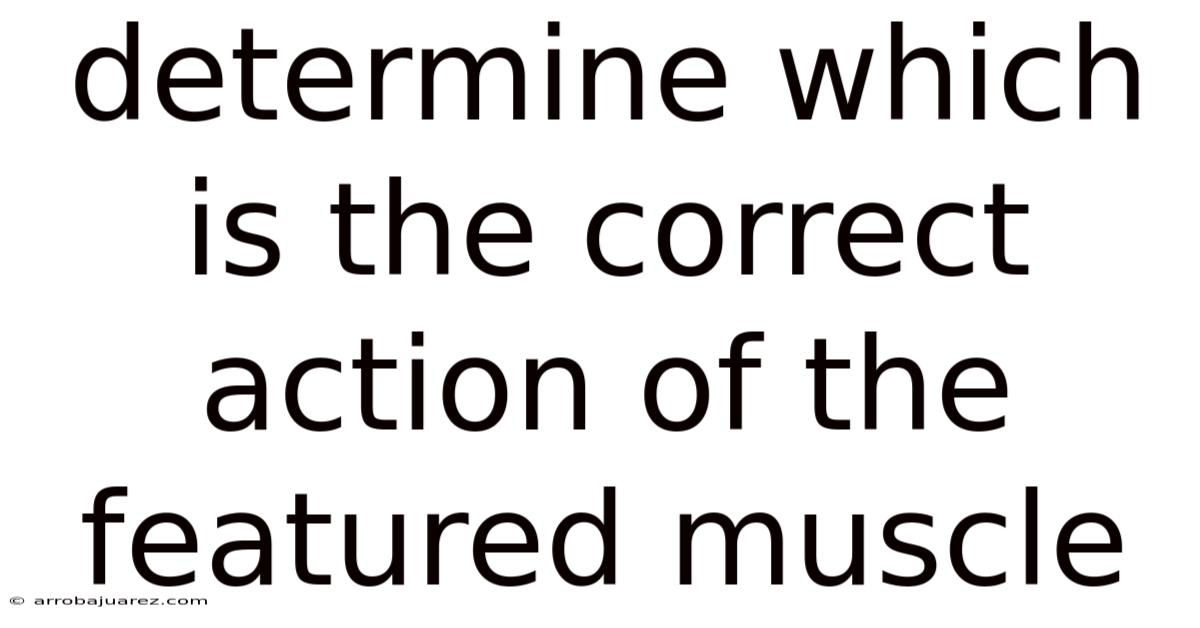 Determine Which Is The Correct Action Of The Featured Muscle