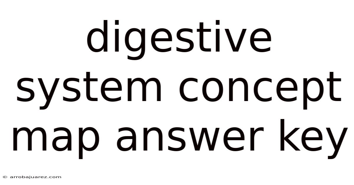 Digestive System Concept Map Answer Key