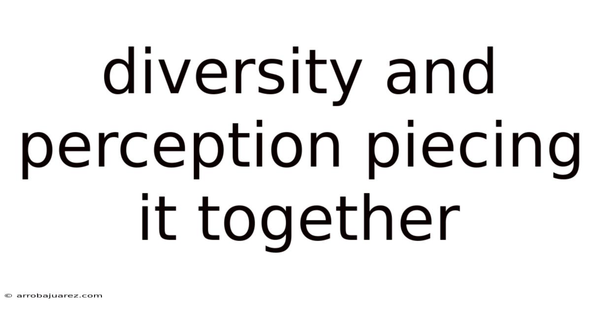 Diversity And Perception Piecing It Together