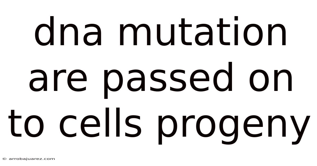Dna Mutation Are Passed On To Cells Progeny