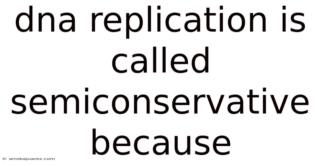 Dna Replication Is Called Semiconservative Because