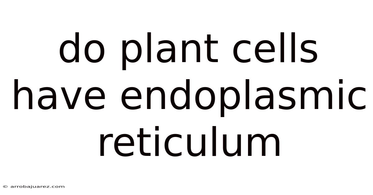 Do Plant Cells Have Endoplasmic Reticulum
