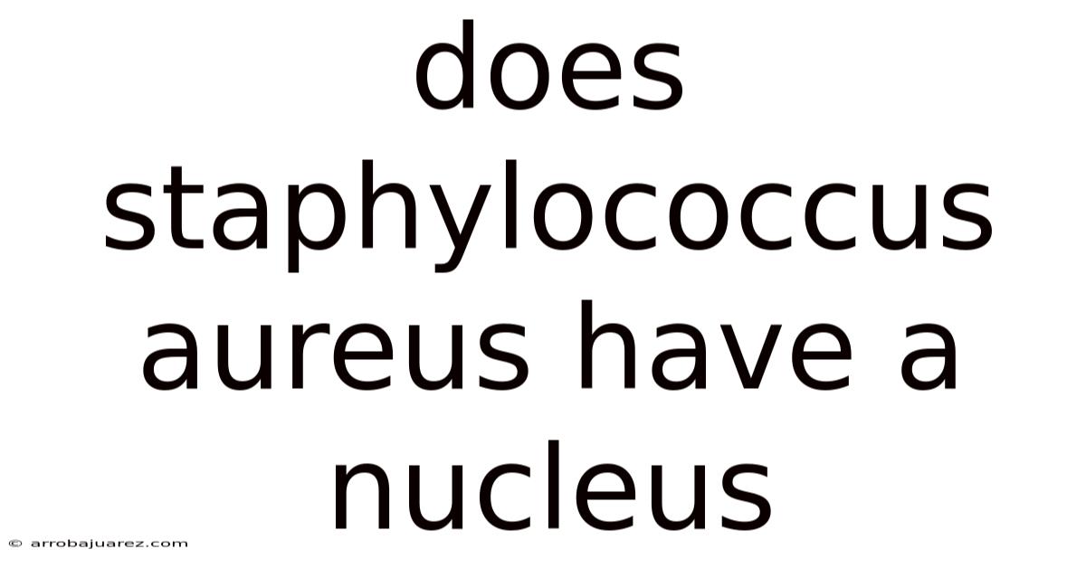 Does Staphylococcus Aureus Have A Nucleus