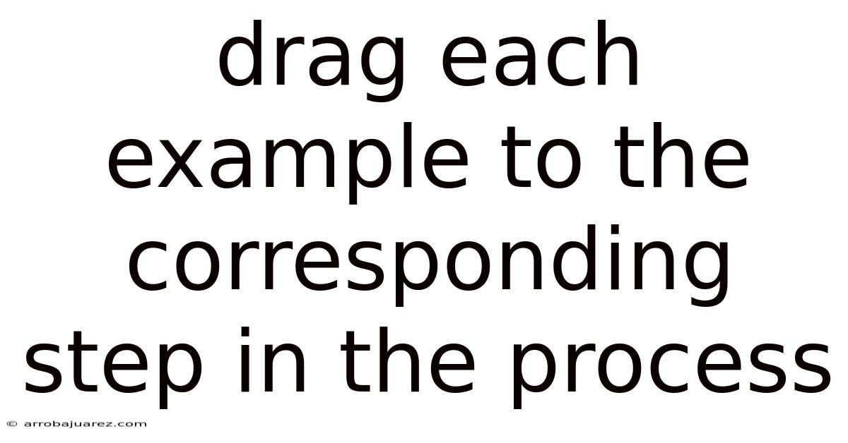 Drag Each Example To The Corresponding Step In The Process