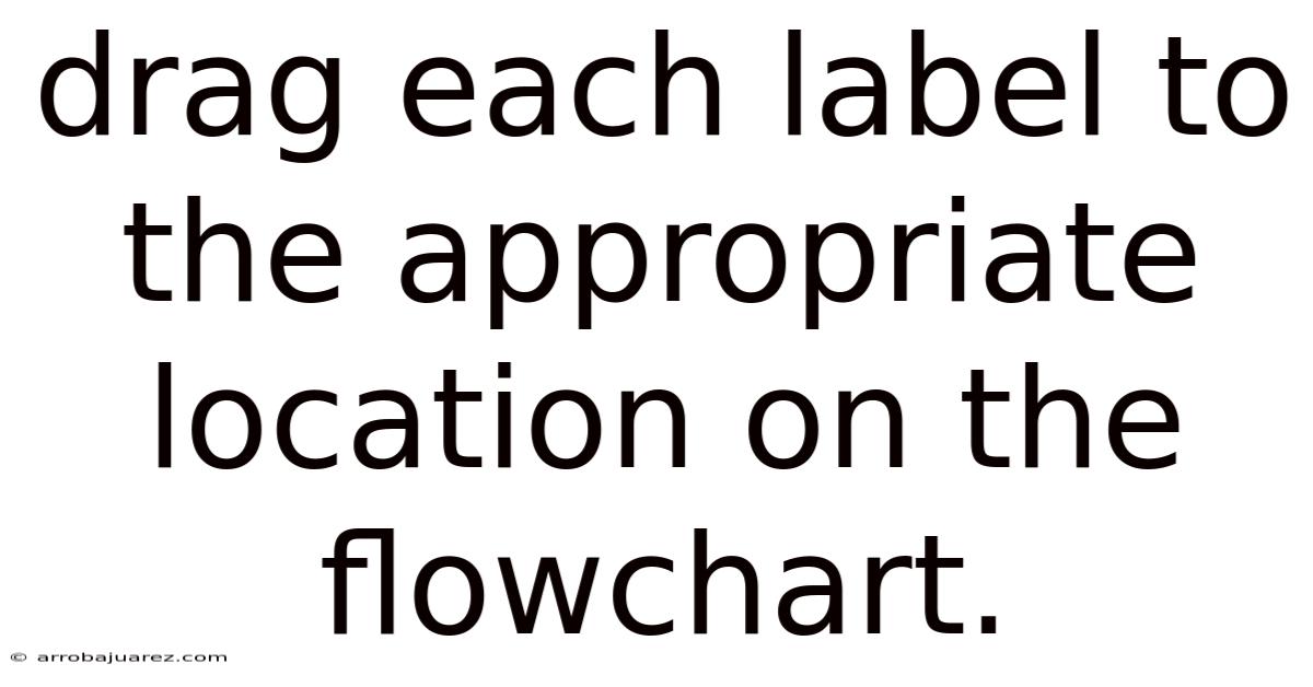Drag Each Label To The Appropriate Location On The Flowchart.