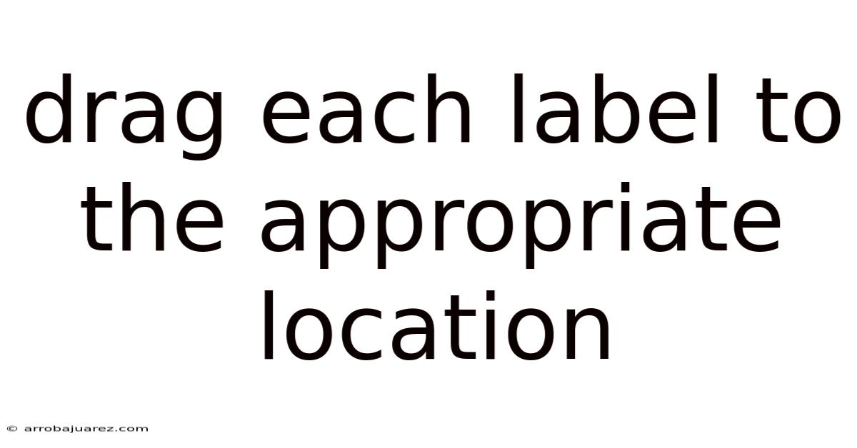 Drag Each Label To The Appropriate Location