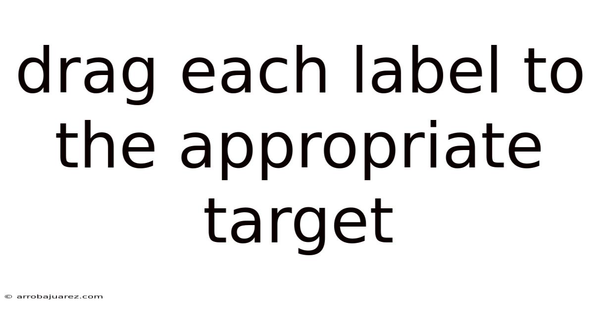 Drag Each Label To The Appropriate Target