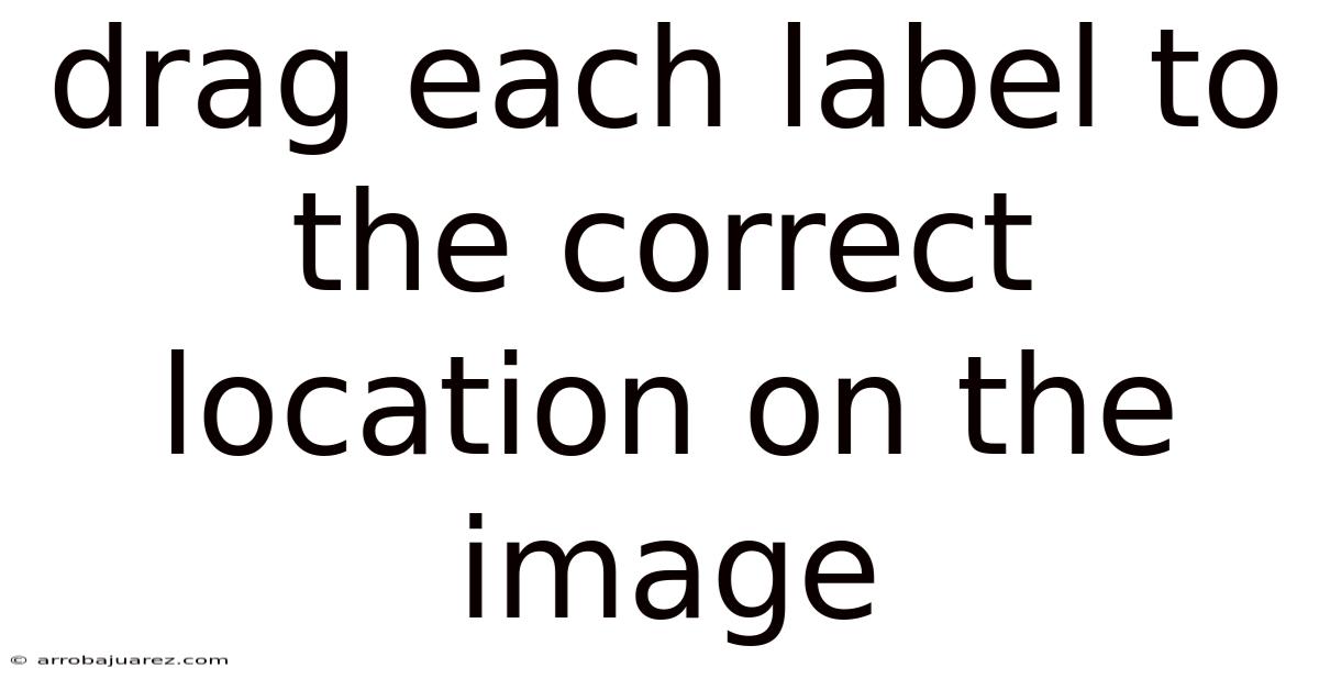 Drag Each Label To The Correct Location On The Image