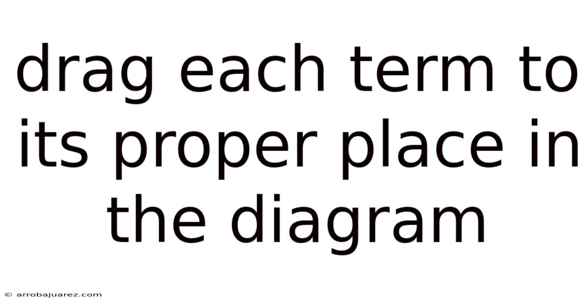Drag Each Term To Its Proper Place In The Diagram