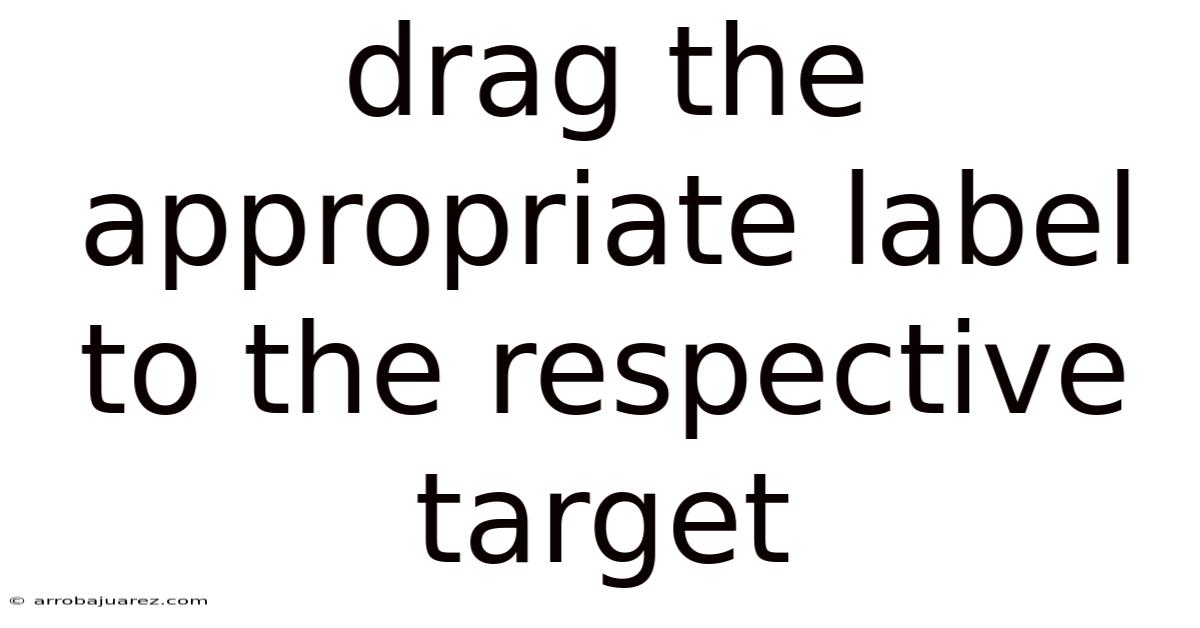 Drag The Appropriate Label To The Respective Target