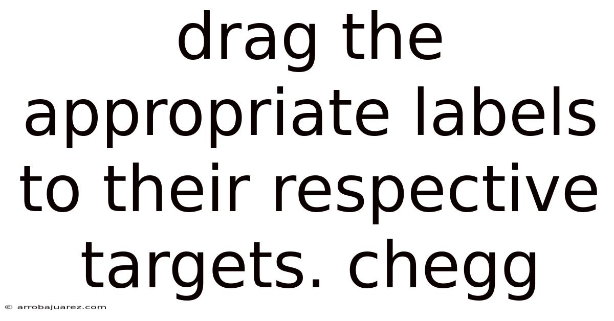 Drag The Appropriate Labels To Their Respective Targets. Chegg